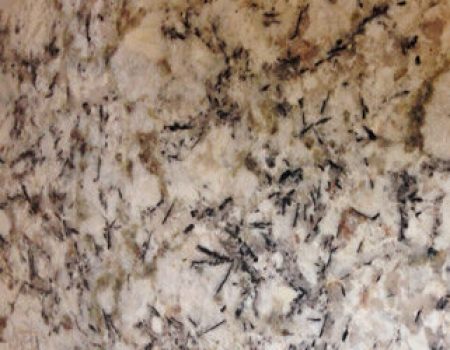 03 - Crema Antartida