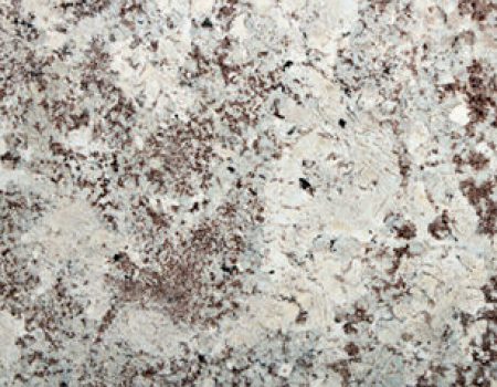 11 - Delicatus White